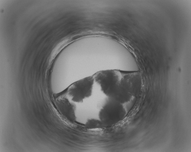 X0000063510053200601201102