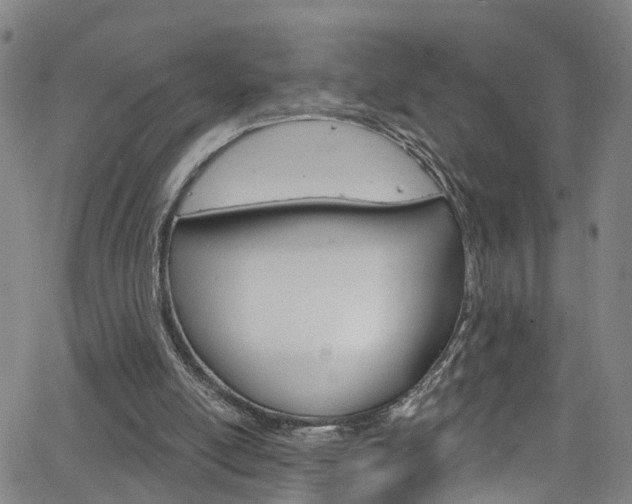 X0000063510054200601201102