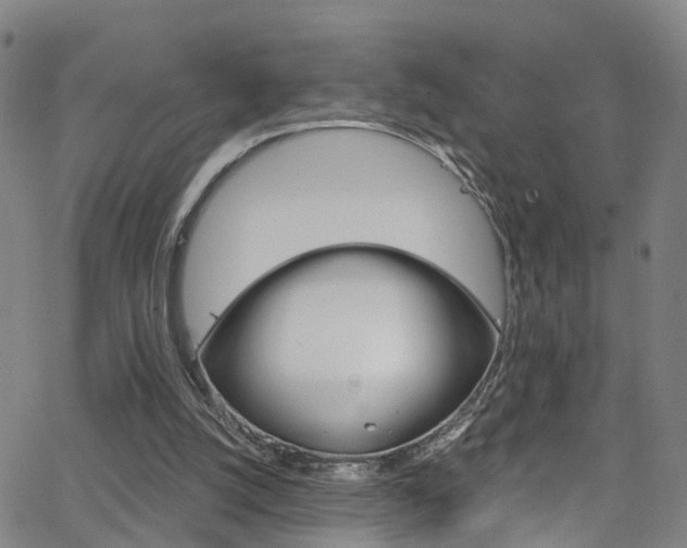 X0000063510056200601201102