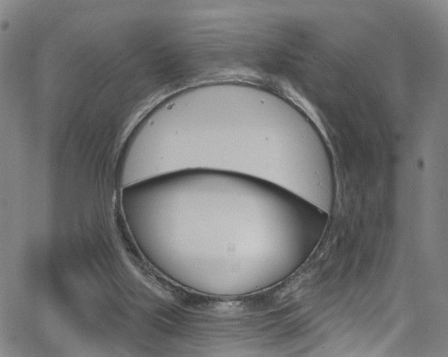 X0000063510059200601201102