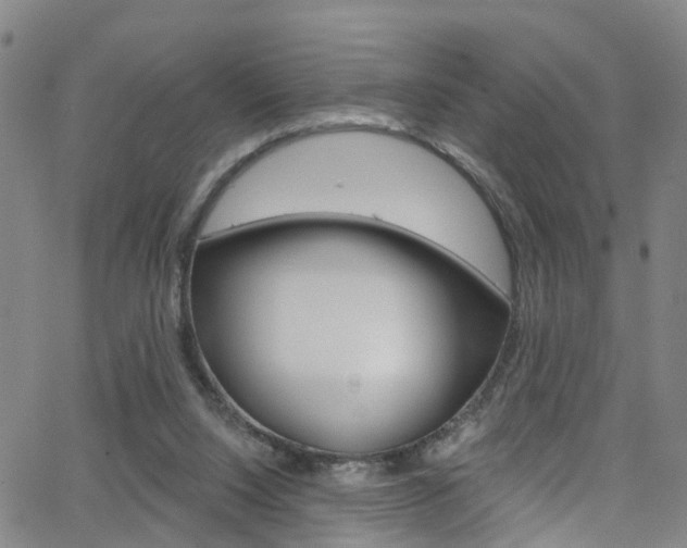 X0000063510064200601201102