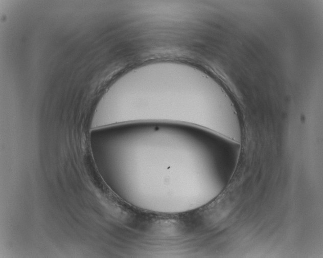 X0000063510066200601201102