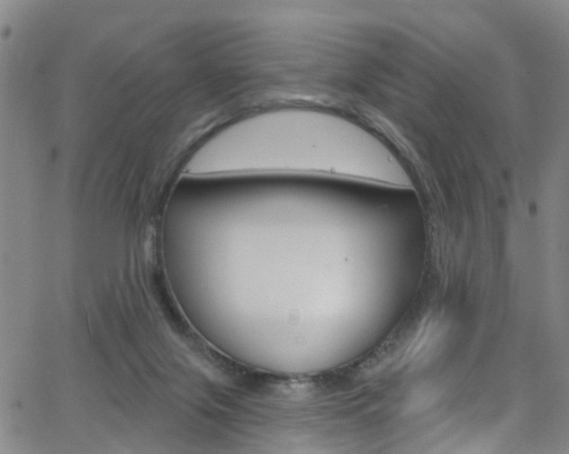 X0000063510071200601201102