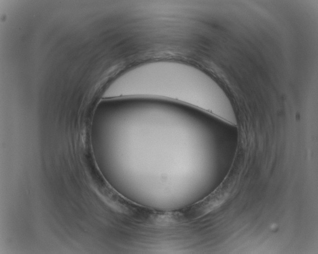 X0000063510072200601201102