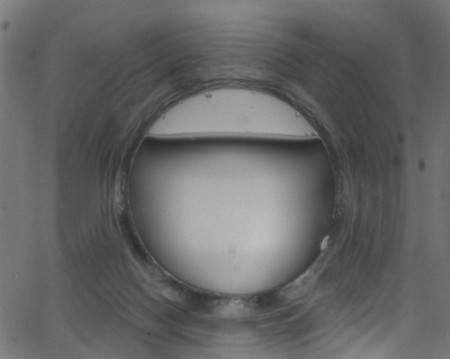 X0000063510074200601201102