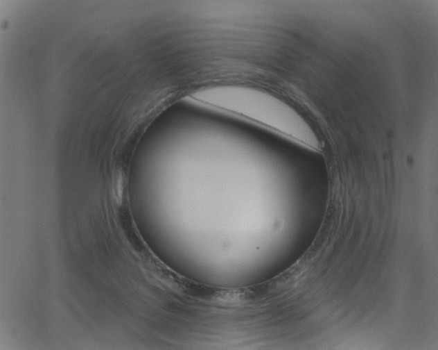 X0000063510076200601201102