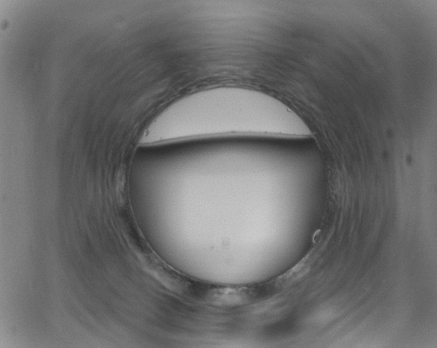 X0000063510082200601201102