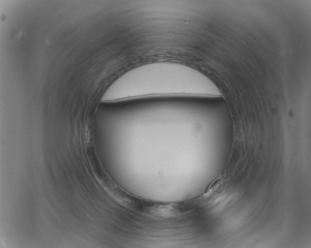 X0000063510086200601201102