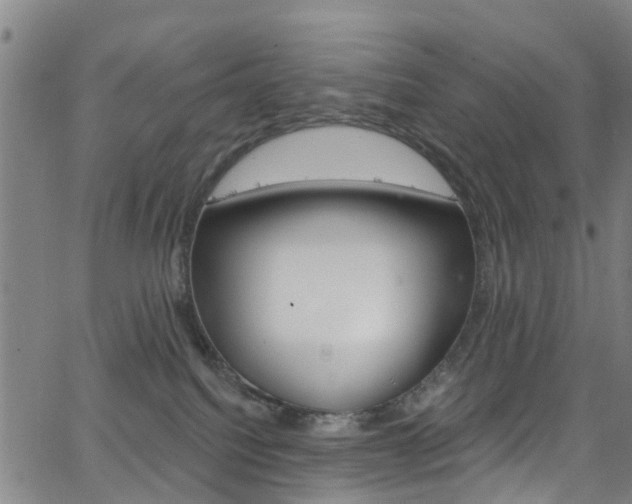 X0000063510088200601201102