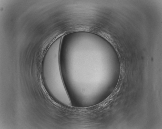 X0000063510097200601201102