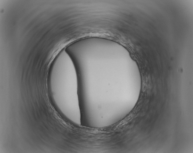 X0000063510098200601201102