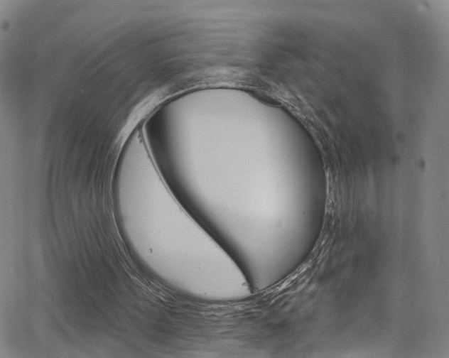 X0000063510099200601201102