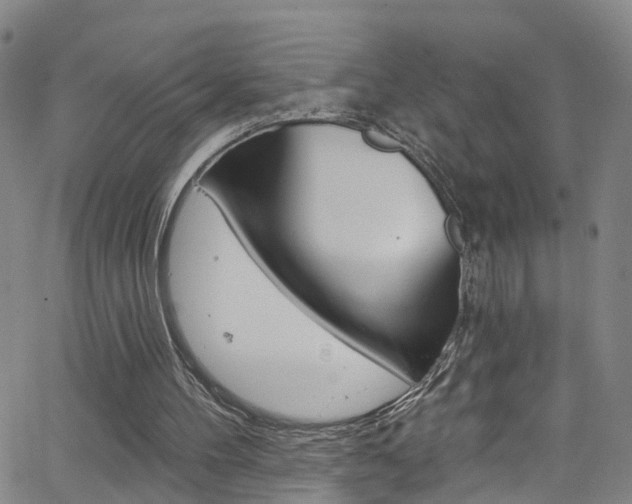 X0000063510100200601201102