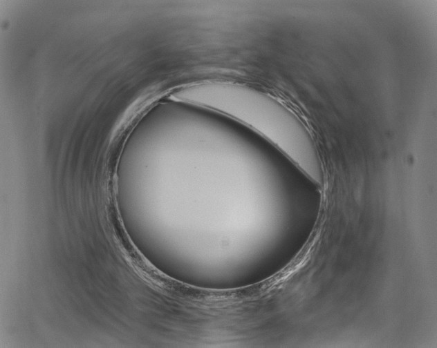 X0000063510101200601201102