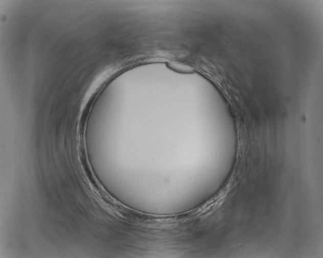 X0000063510102200601201102