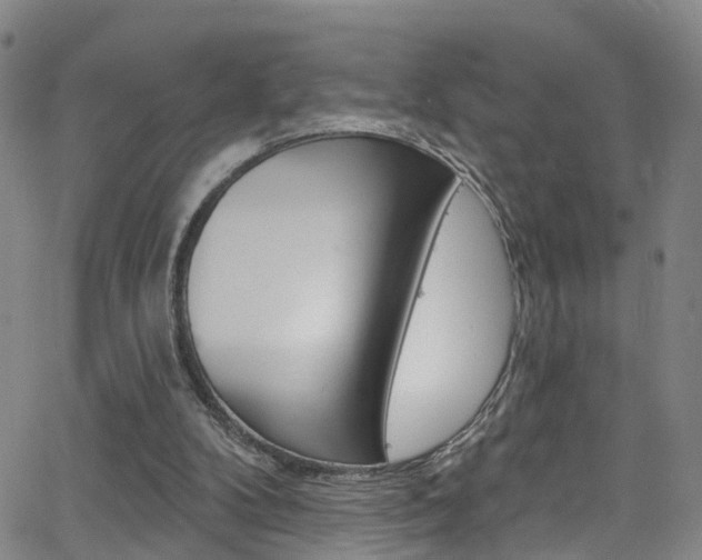X0000063510104200601201102