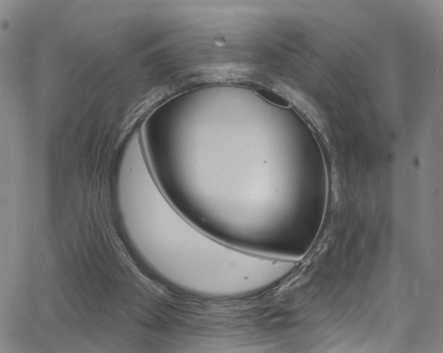 X0000063510105200601201102