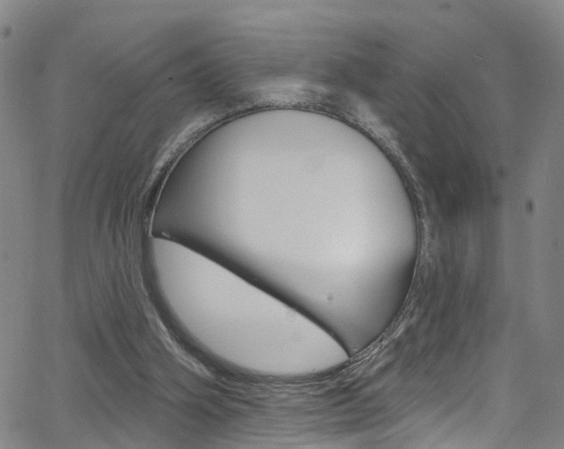 X0000063510106200601201102