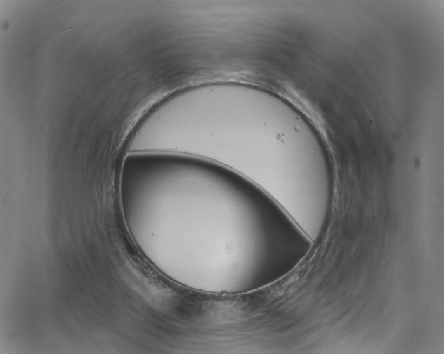 X0000063510107200601201102