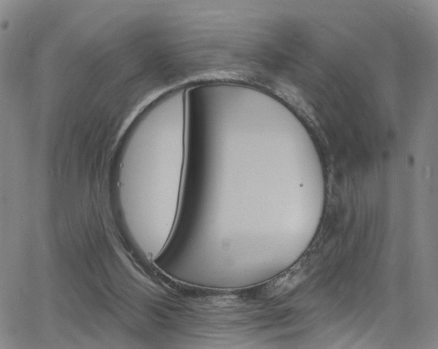 X0000063510108200601201102