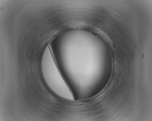 X0000063510113200601201101