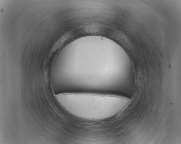 X0000063510116200601201101