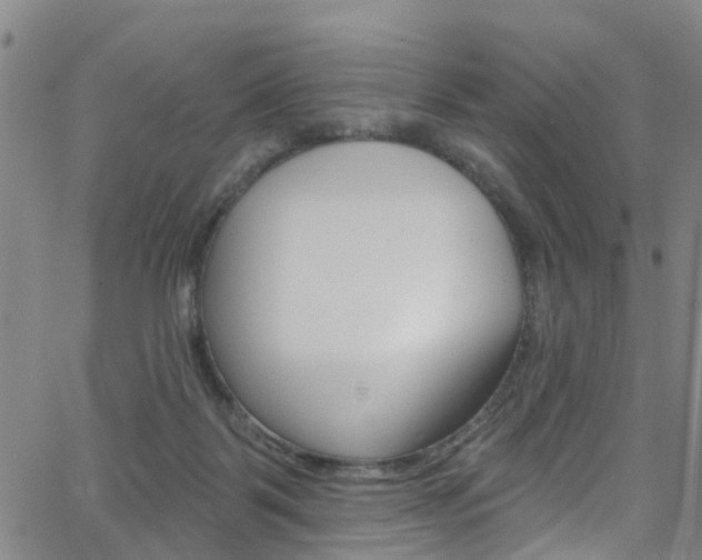 X0000063510123200601201101