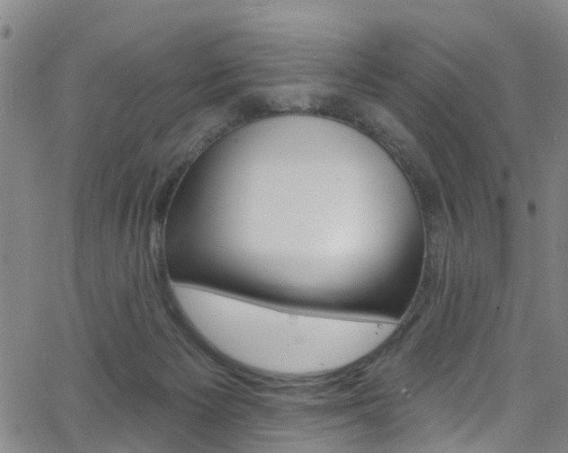 X0000063510125200601201101