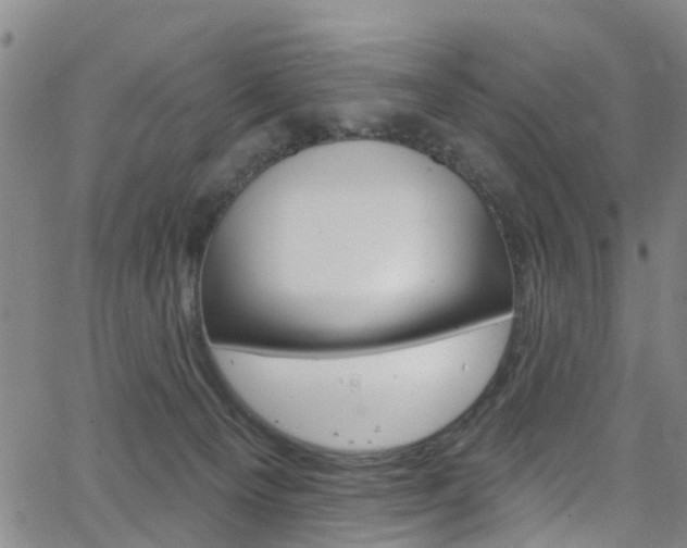 X0000063510129200601201101