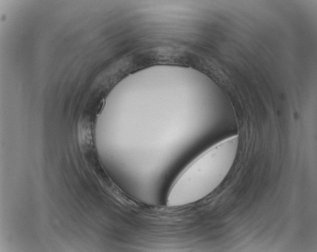 X0000063510137200601201101