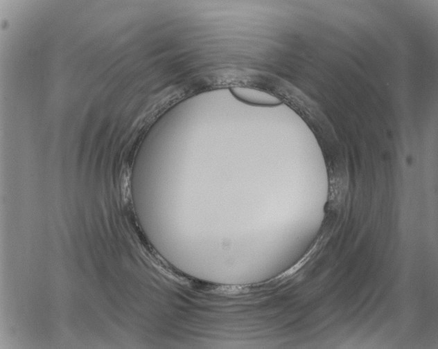 X0000063510142200601201101
