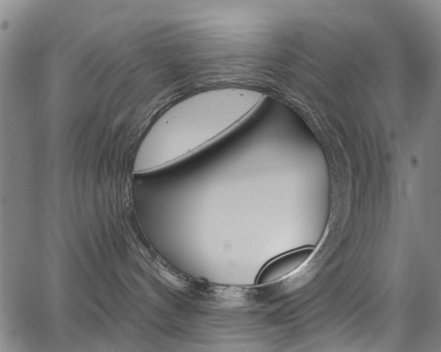 X0000063510144200601201101