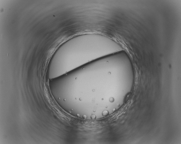 X0000063510145200601201100
