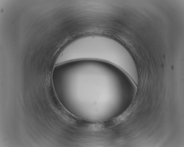 X0000063510168200601201100