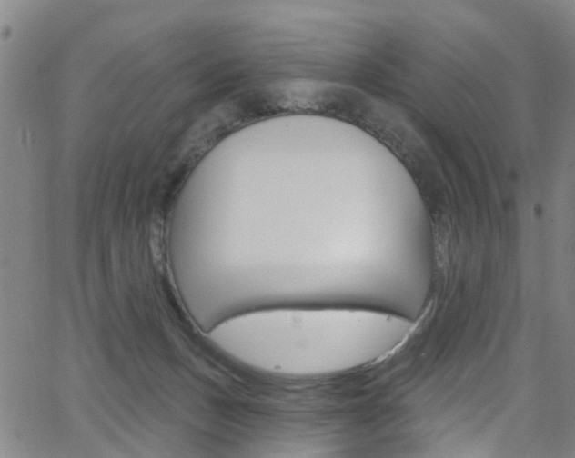X0000063510175200601201101