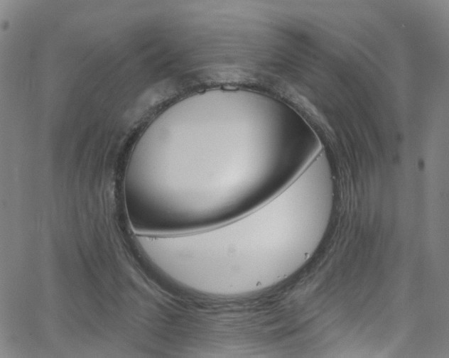 X0000063510207200601201100