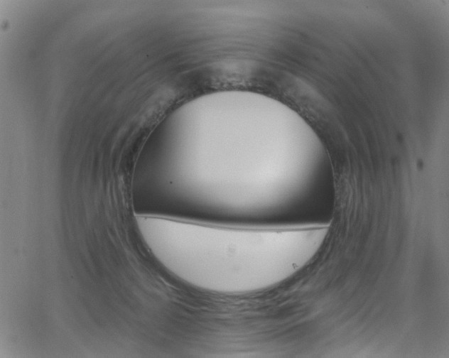 X0000063510224200601201100