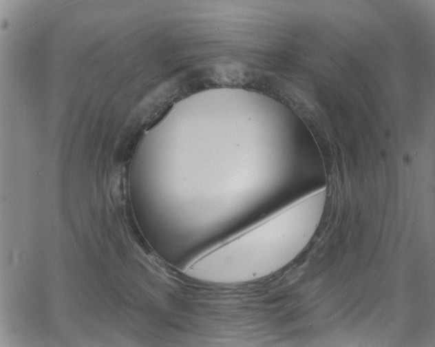 X0000063510233200601201059