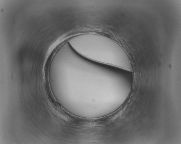 X0000063510246200601201059