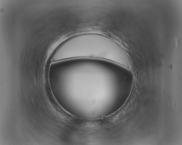 X0000063510248200601201059