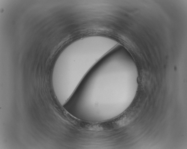 X0000063510258200601201059