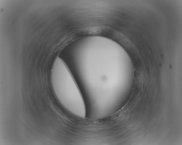 X0000063510262200601201059