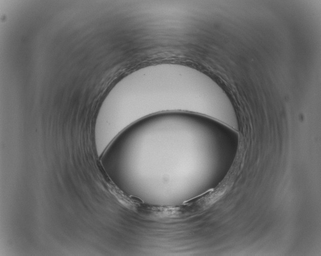X0000063510288200601201059