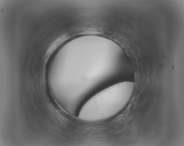 X0000063510296200601201058