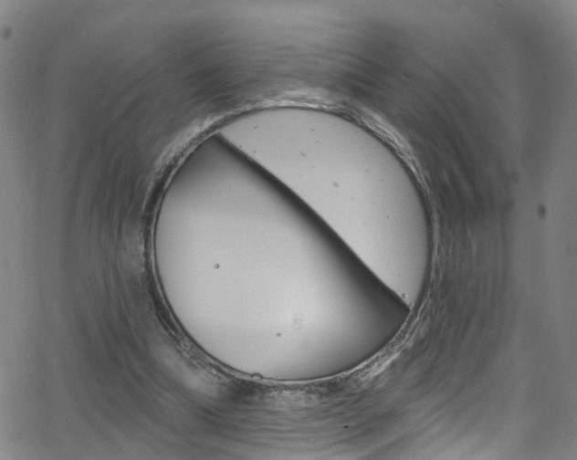 X0000063510298200601201058