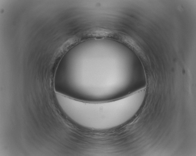 X0000063510309200601201058