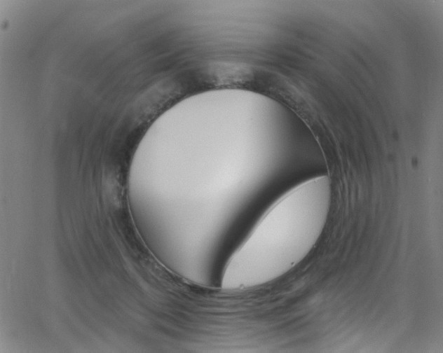 X0000063510316200601201058
