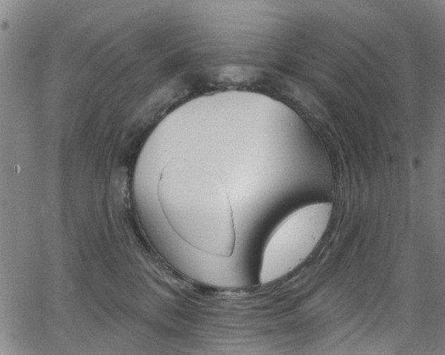 X0000063510328200601201058