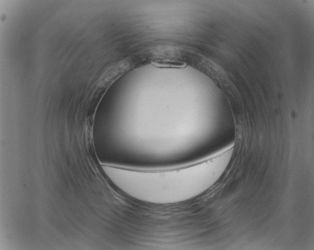 X0000063510333200601201058