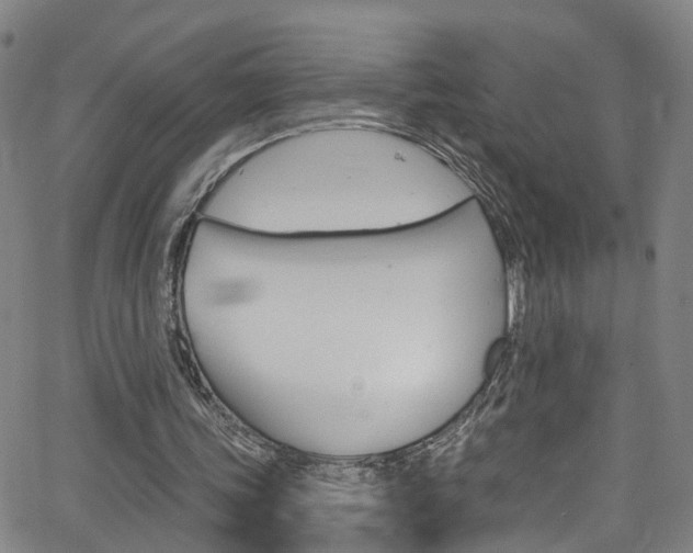 X0000063510339200601201057